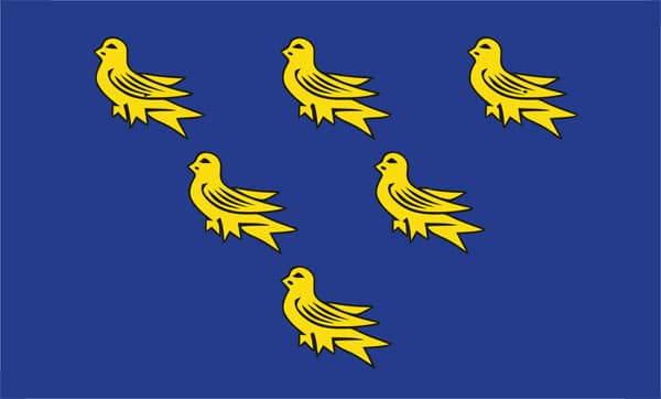 3' x 2' Suffolk Flag England English County Flags Bury St Edmunds Banner 