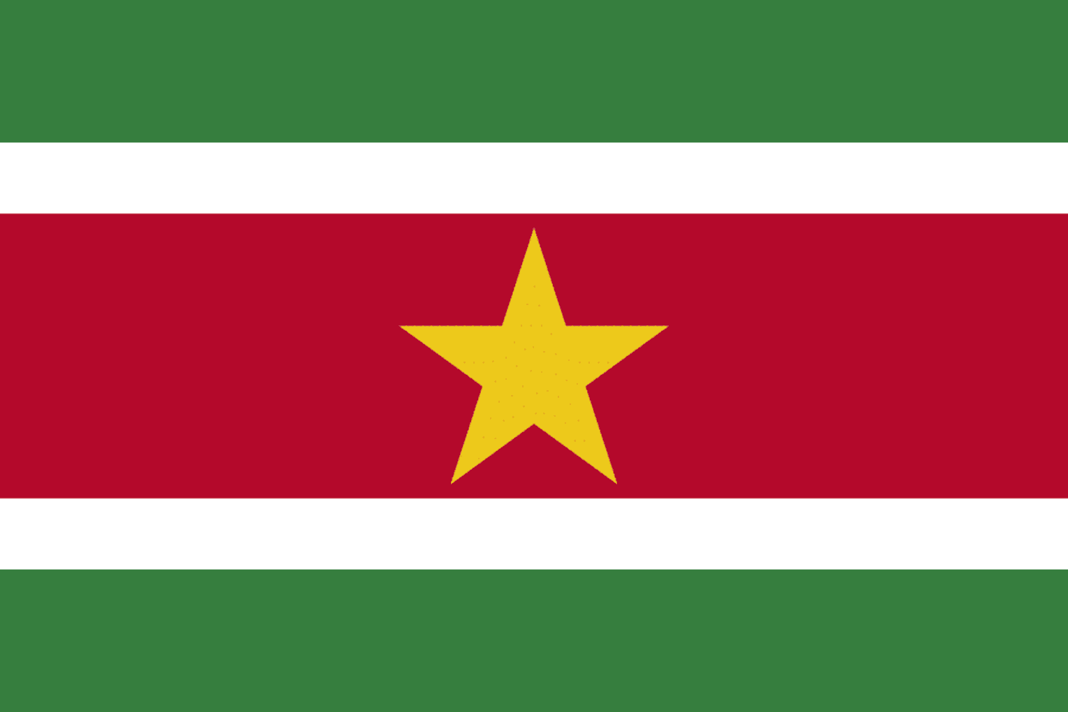 rand Verpletteren Accommodatie Suriname National Flag | History & Facts | Flagmakers