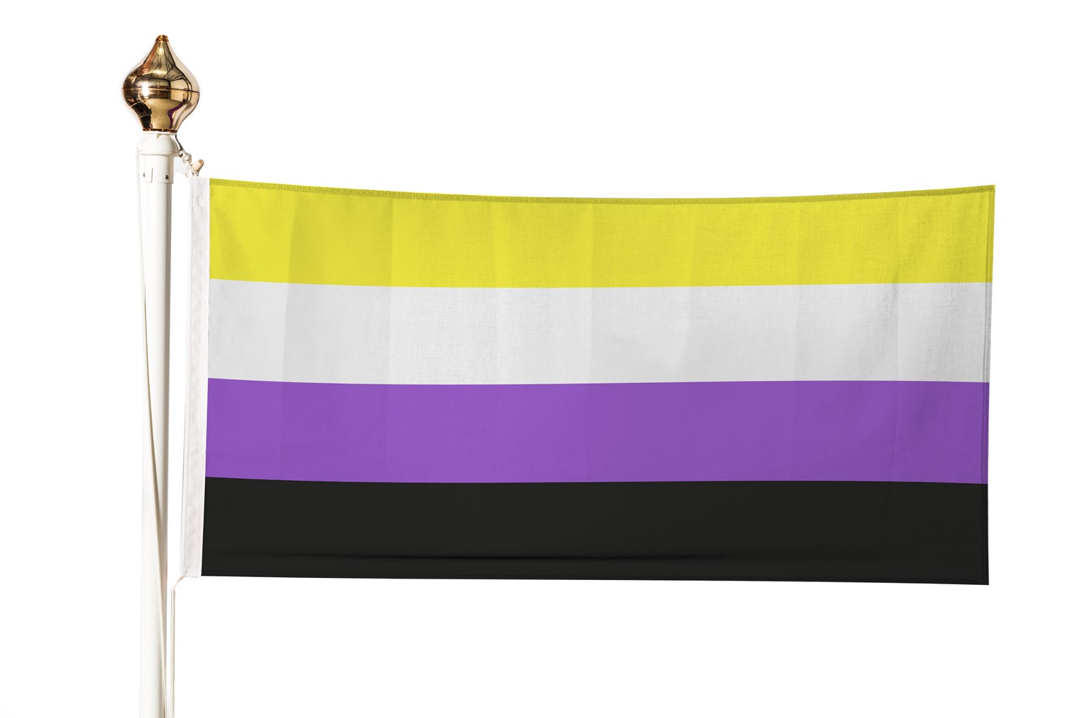 Non Binary flag