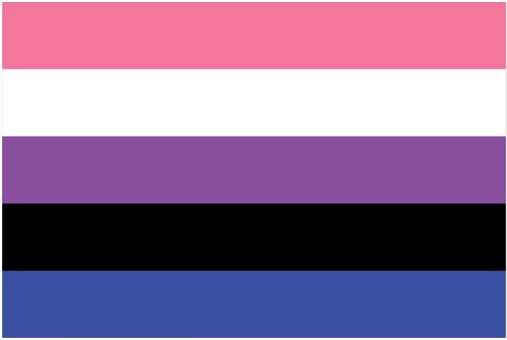 Gender Fluid Flag