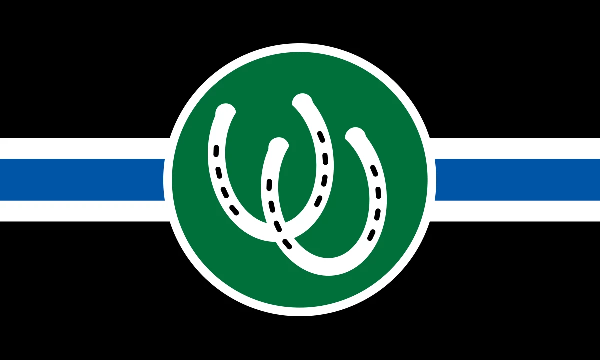 Pony Pride Flag