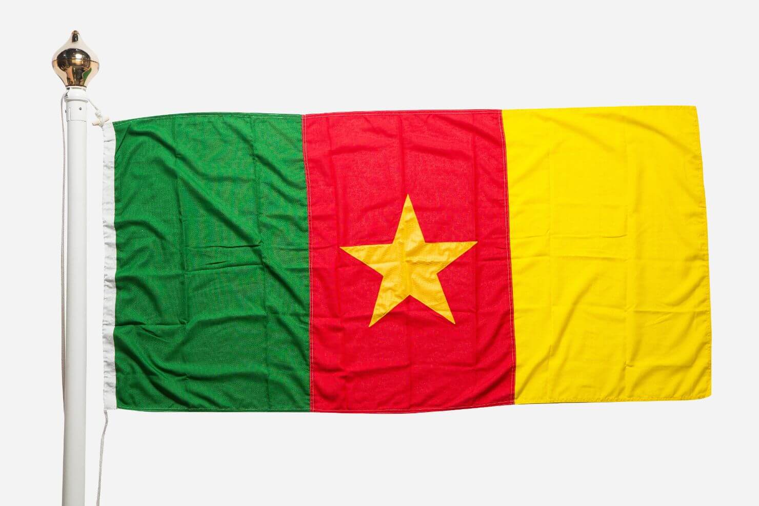 Cameroon National Flag