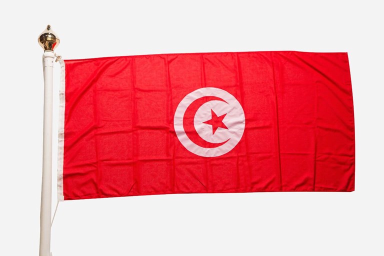 Fifa World Cup qatar 2022 flag Tunisia 13994221 PNG