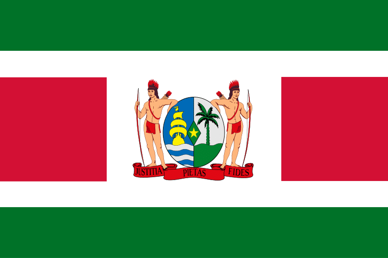 Details about   Suriname Flag 2x3ft Flag of Suriname Surinamese Flag 2x3 House Flag 