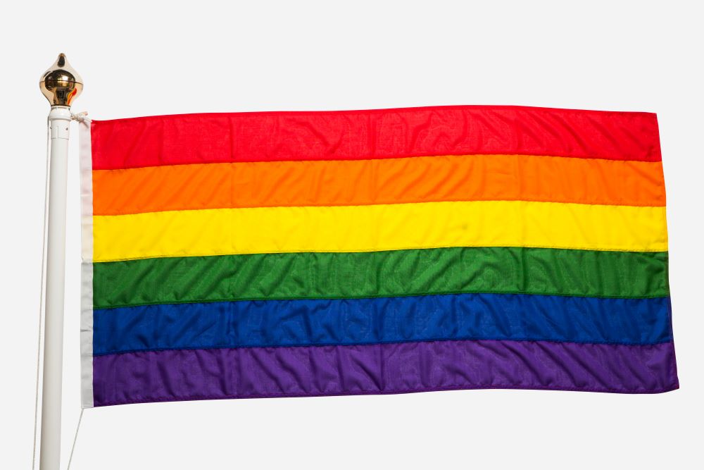 what dose the gay flag look like