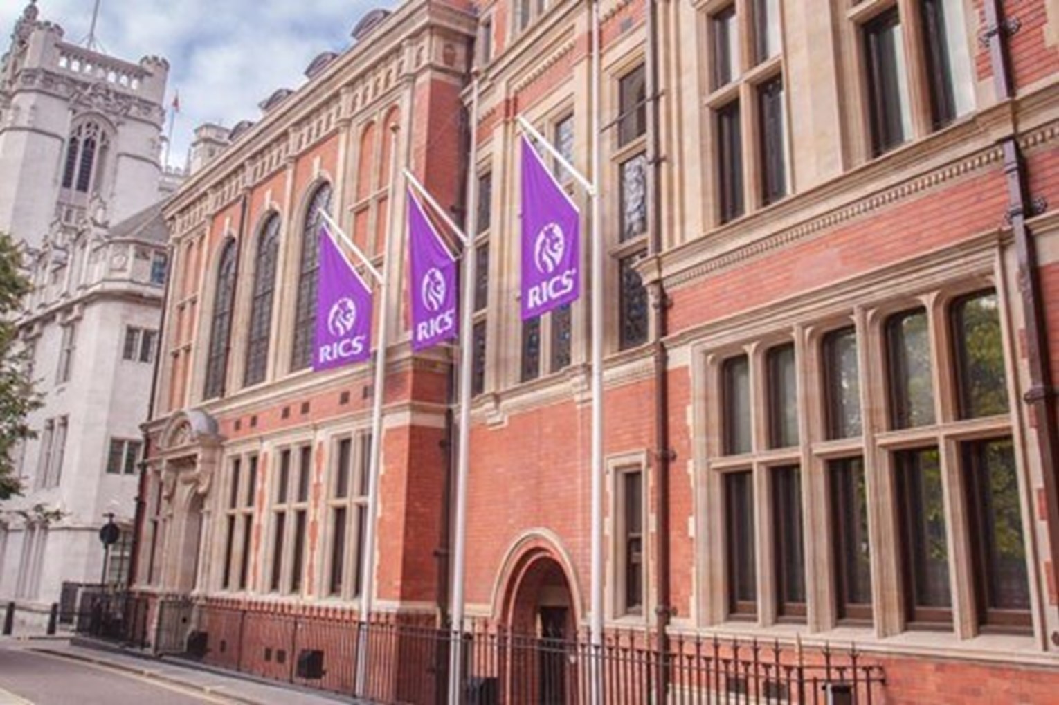 RICS Custom Flags