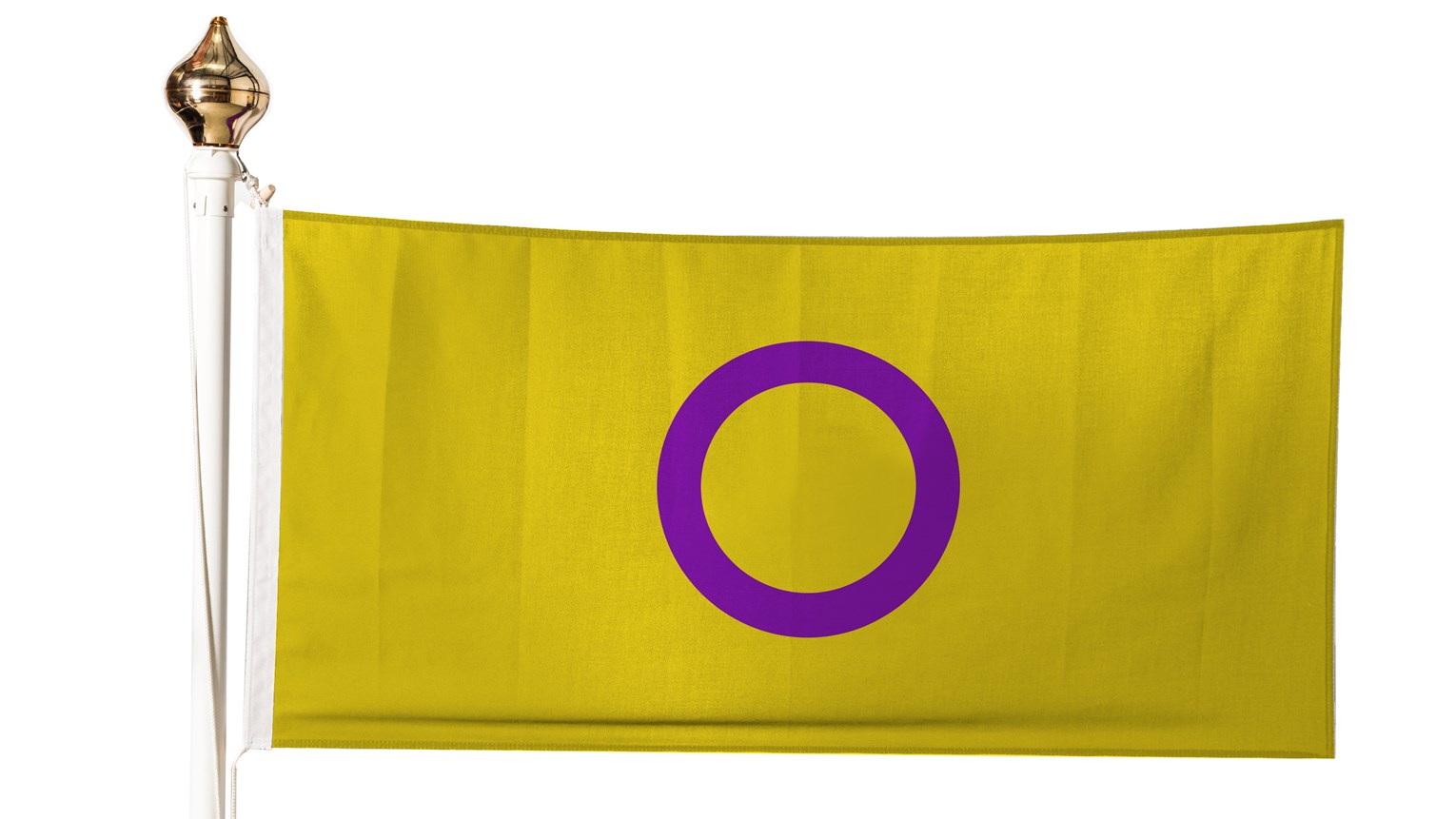 Intersex Flag