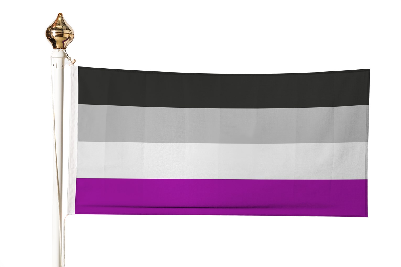 Asexual Flag