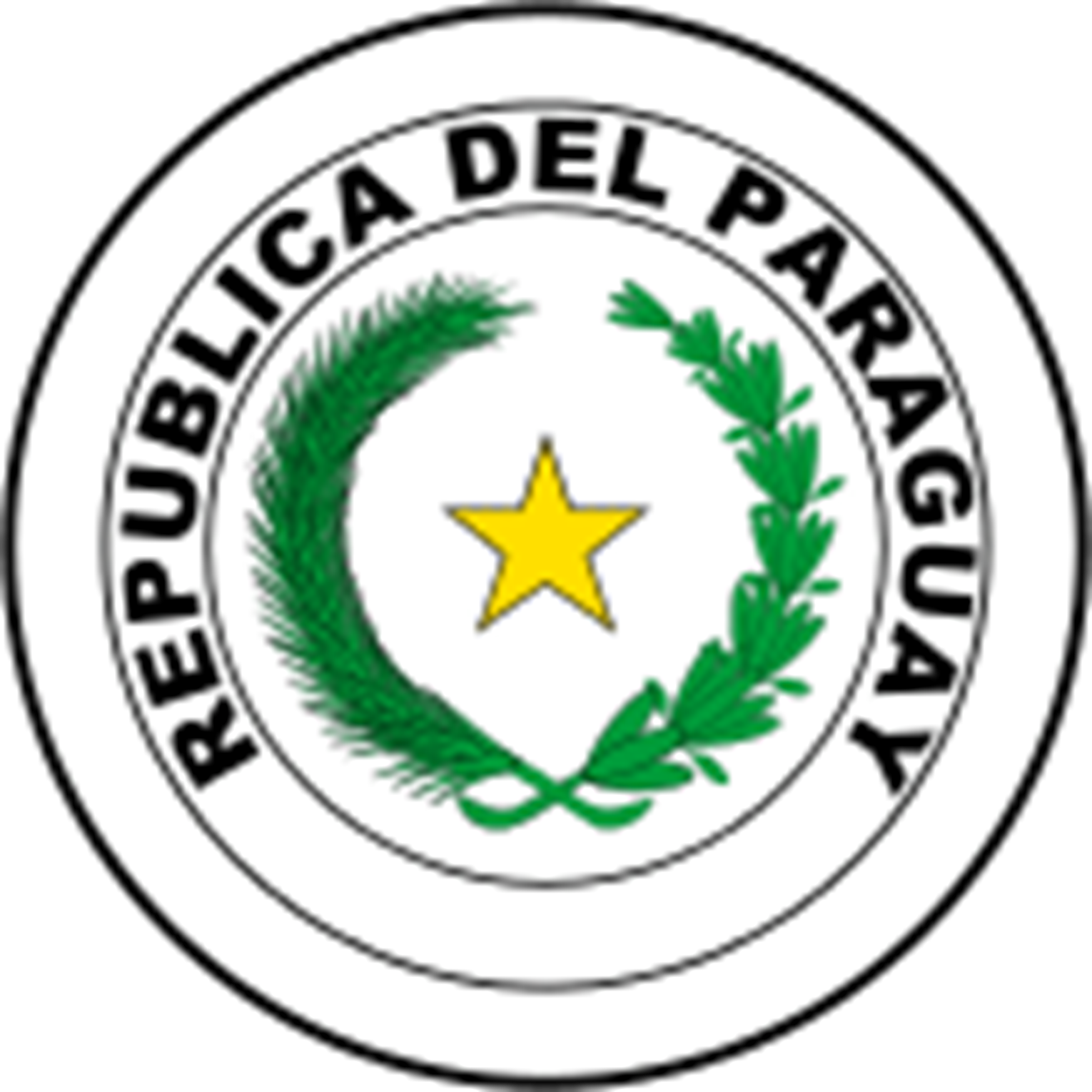 Paraguay National Flag History & Facts Flagmakers