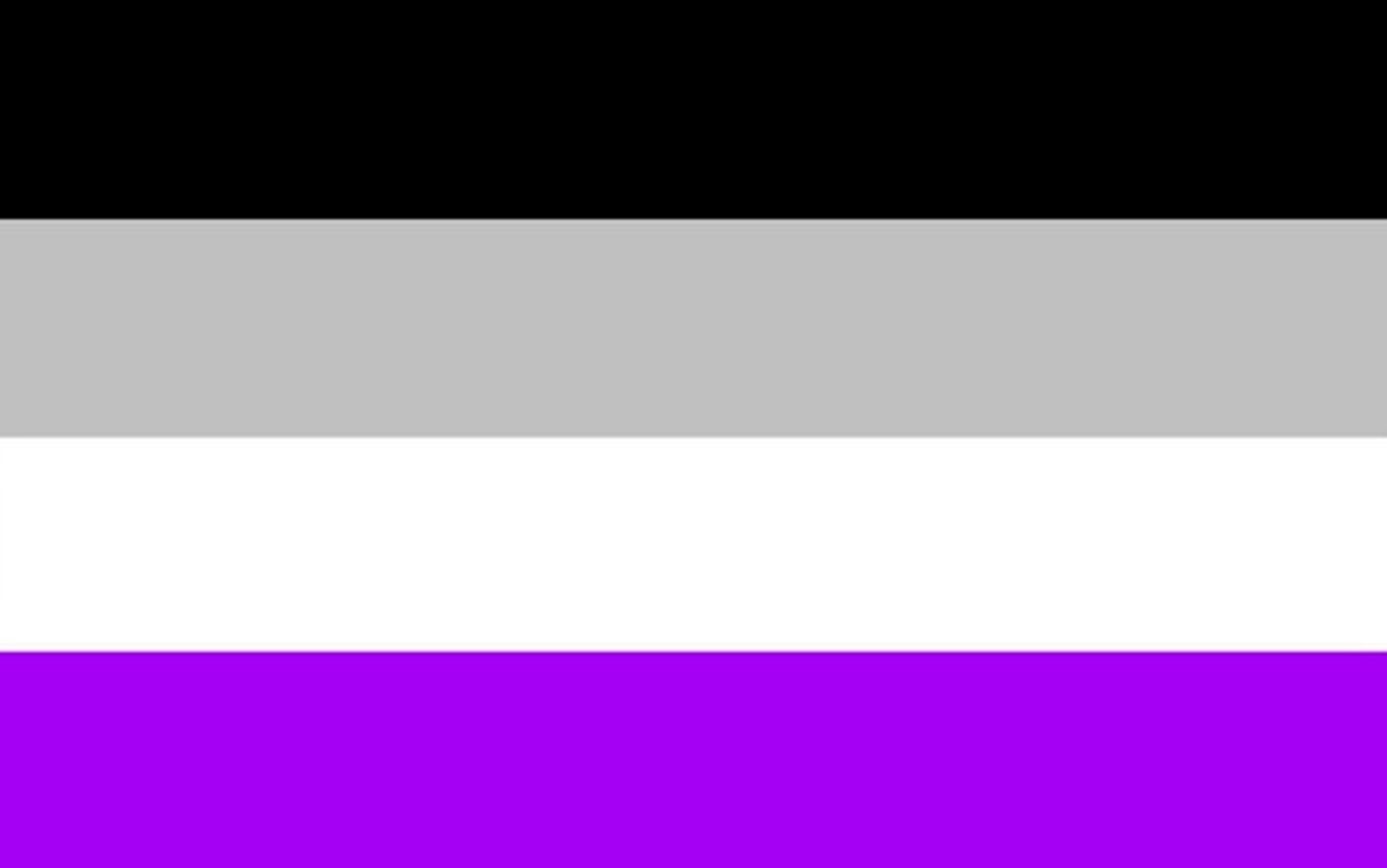 Lgbtq Pride Flags Their Meanings Flagmakers Lgbtq Pride Flags Their Meanings Flagmakers
