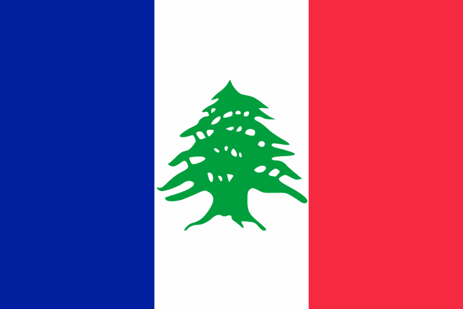 flydende sløjfe Såkaldte Lebanon National Flag | History & Facts | Flagmakers